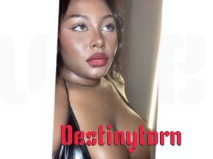 Destinytorn