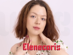 Elenecaris