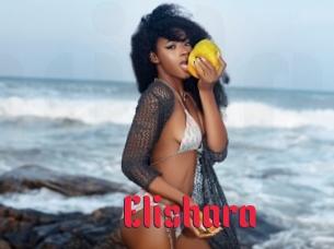 Elishara