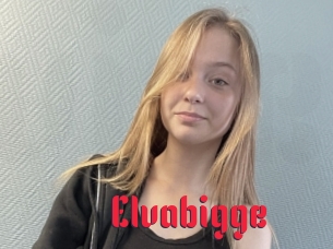 Elvabigge