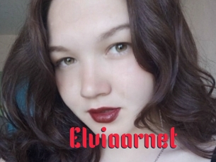 Elviaarnet