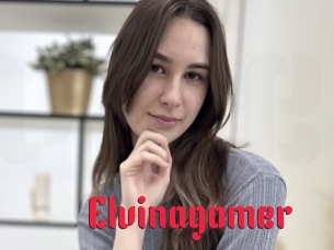 Elvinagomer