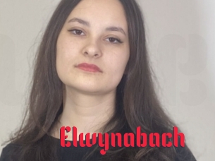 Elwynabach