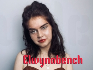 Elwynabench