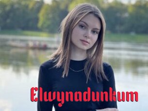 Elwynadunkum