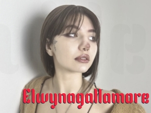 Elwynagallamore