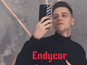 Endycor