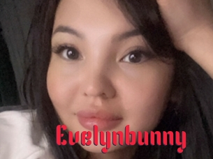 Evelynbunny