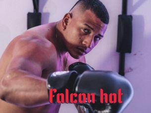 Falcon_hot