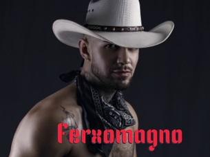 Ferxomagno