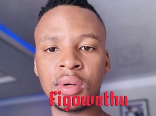 Figowethu