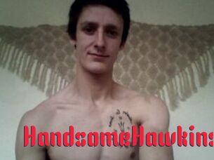 HandsomeHawkins