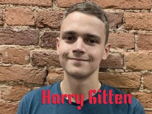 Harry_Gitten