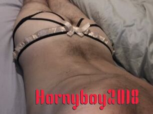 Hornyboy2018