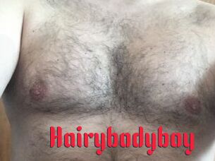 Hairybodyboy