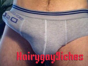 Hairygay9iches