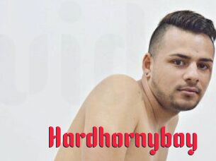 Hardhornyboy