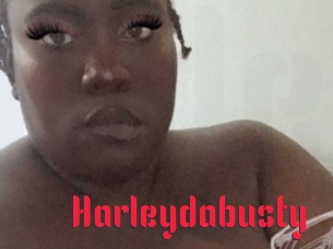 Harleydabusty