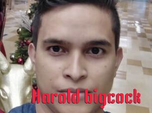 Harold_bigcock