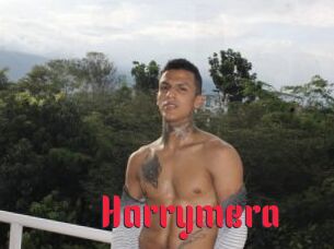 Harrymera