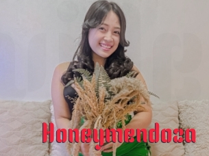 Honeymendoza