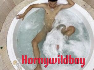 Hornywildboy