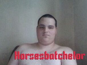 Horsesbatchelor