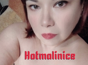 Hotmalinice