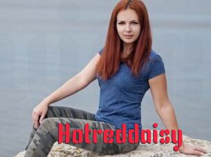 Hotreddaisy