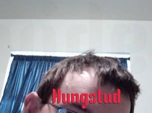 Hungstud