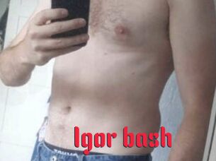 Igor_bash