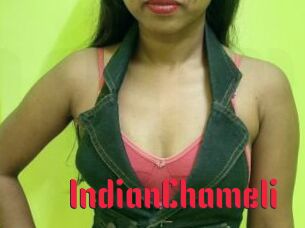 IndianChameli