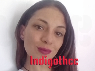 Indigothcc