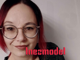 Inezmodel