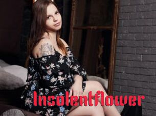 Insolentflower