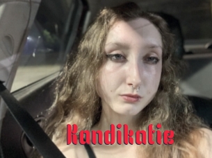 Kandikatie