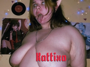 Kattixo