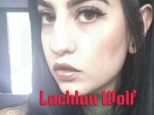 Lachlan_Wolf