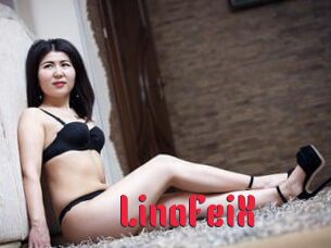 LinaFeiX