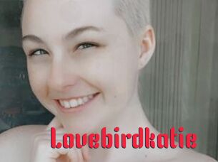 Lovebirdkatie