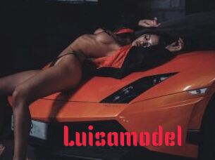 Luisamodel