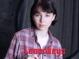 Leanakeys