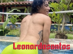 Leonardosantos