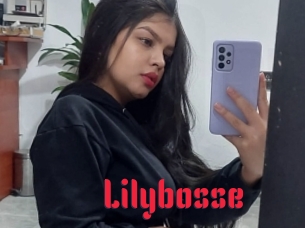 Lilybosse