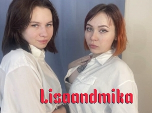 Lisaandmika