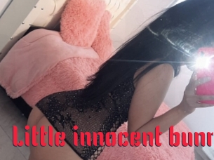 Little_innocent_bunny