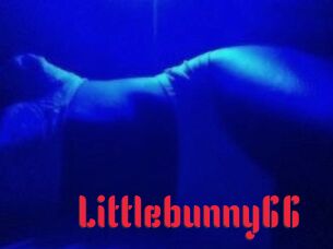 Littlebunny66