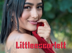 Littleescarlett