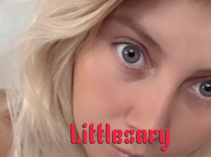 Littlesary