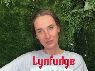 Lynfudge